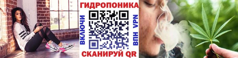 Шишки марихуана планчик  Костомукша 